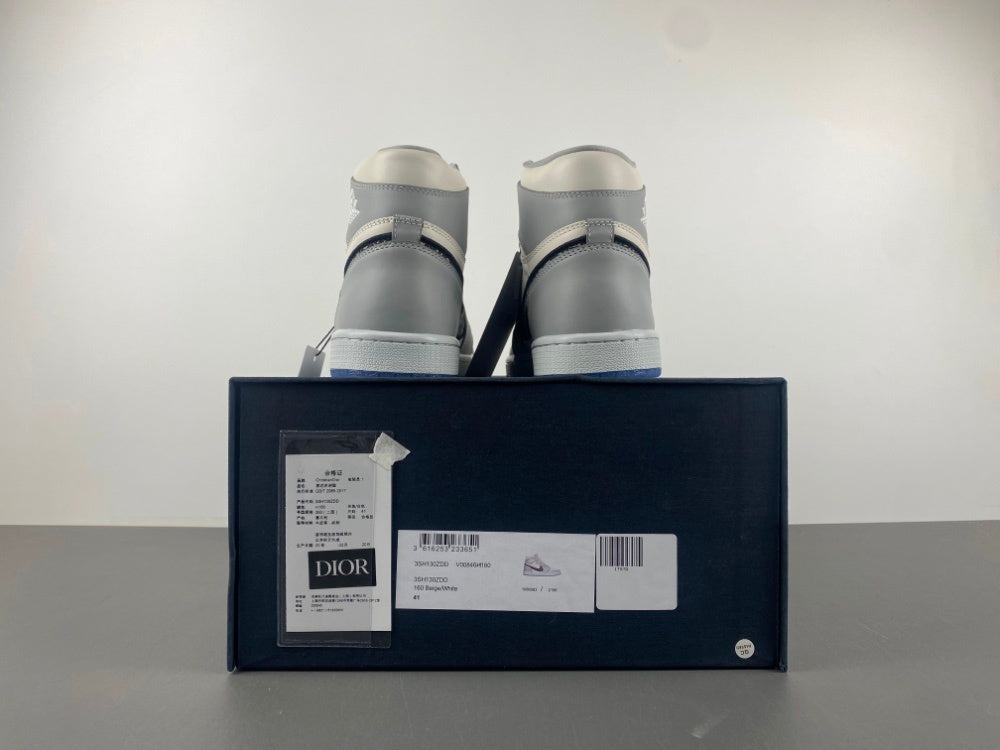 Dior x Air Jordan 1 Retro High Wolf Grey / Sail